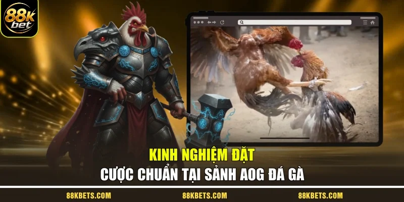 Kinh nghiệm đặt cược chuẩn tại sảnh AOG đá gà