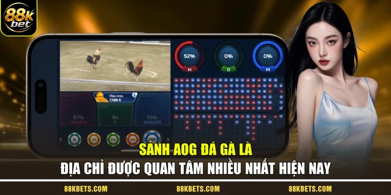 Sảnh AOG đá gà là địa chỉ được quan tâm nhiều nhất hiện nay