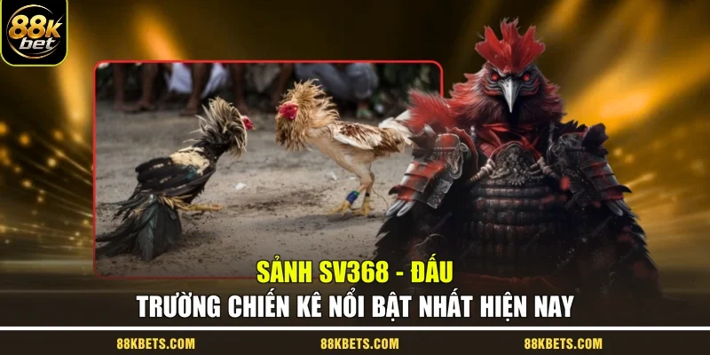 Sảnh SV368 - Đấu Trường Chiến Kê Nổi Bật Nhất Hiện Nay