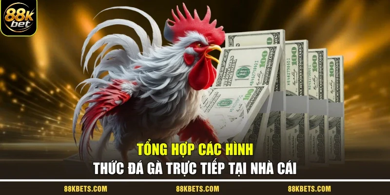 Tổng hợp các hình thức đá gà trực tiếp tại nhà cái