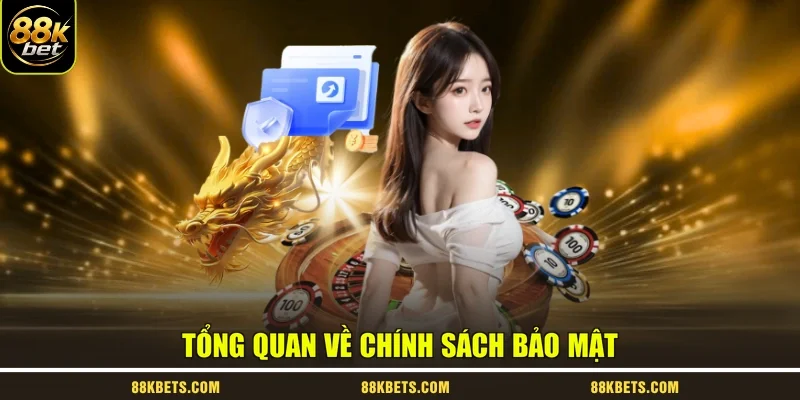 Tổng quan về chính sách bảo mật